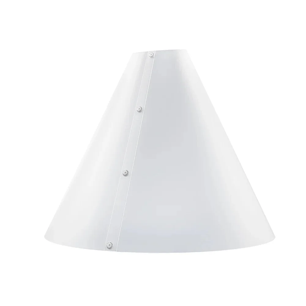 The Light Cone - Large