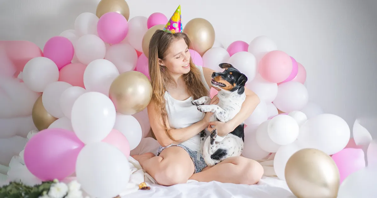 Furry Friends in the Celebration Photographs